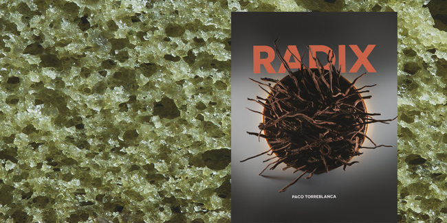 Radix, the journey to the essence of Paco Torreblanca’s pastry