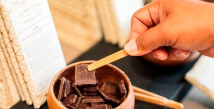 Dandelion chocolate sample