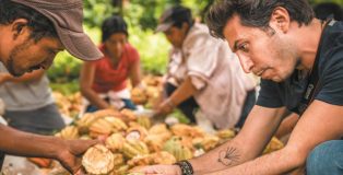 recollecting cacao fruits