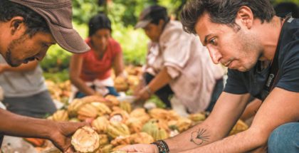 recollecting cacao fruits