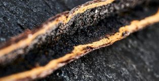 vanilla bean