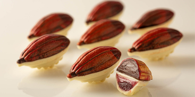 Cocoa Bean Bonbon with Chipotle Raspberry Ganache and Gelatin