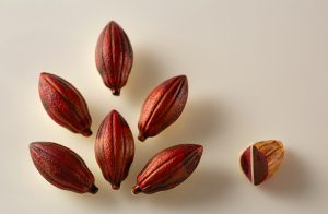 Cocoa Bean Bonbon with Chipotle Raspberry Ganache and Gelatin