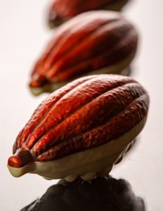 Cocoa Bean Bonbon with Chipotle Raspberry Ganache and Gelatin