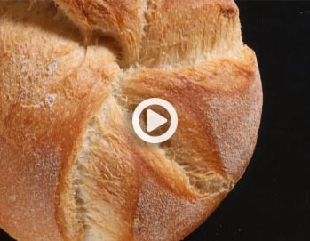 Kaiser rolls, the original hand-marked vienna bread rolls. True bread videos (2 of 6)