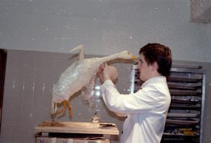 Gilles Renusson working on a sugar duck