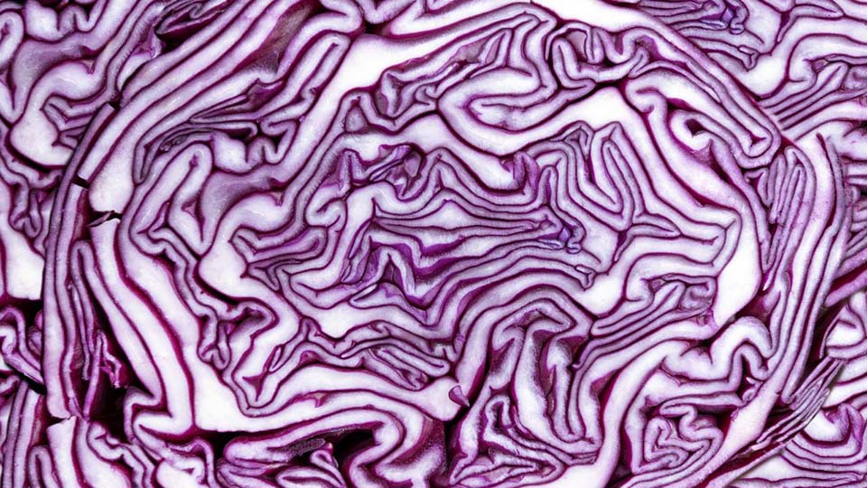 red cabbage