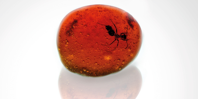 Amber