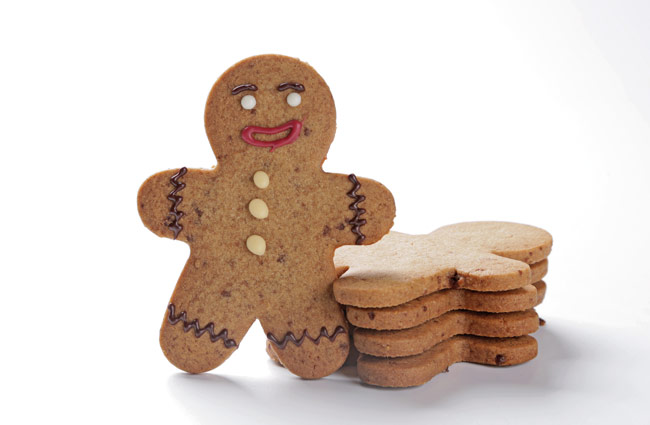 Gingerbread Biscuit