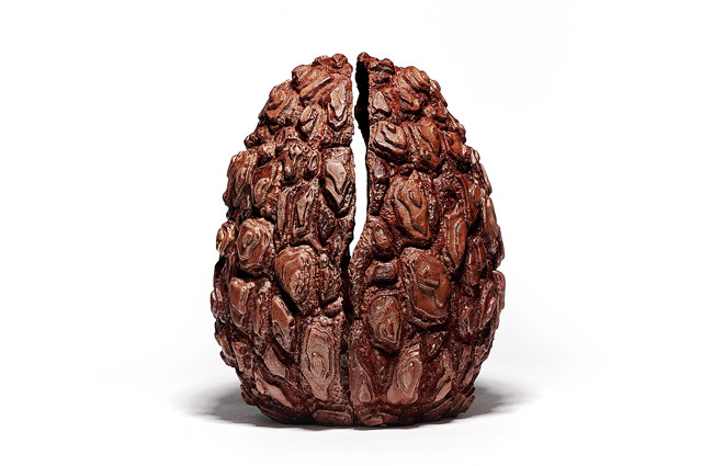 Maxence Barbot’s realistic egg-shell