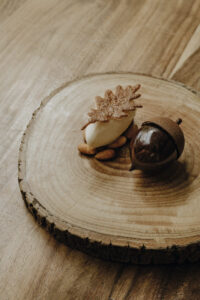 acorn