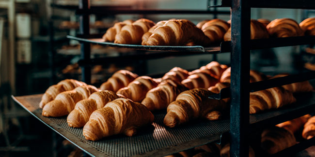 Croissants out of the oven