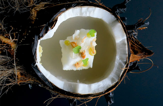 Sprouted coconut by Curtis Duffy