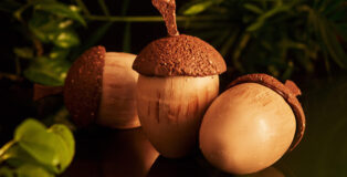 Cake Acorn with caramel mousse and the hazelnut praline by Sylwia Grodzka-Haba