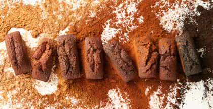 cacao barry cocoa powders