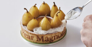 Magnolia pear by Nicoll Notter