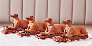Connaught Hound