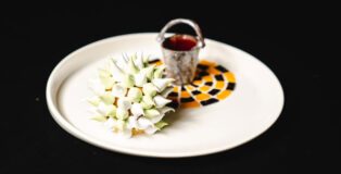 Cassata by Ruchit Harneja