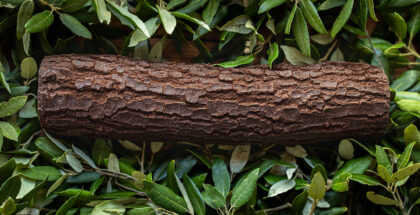 Christmas log by Eric Raynal