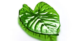 Maé Innovation mold