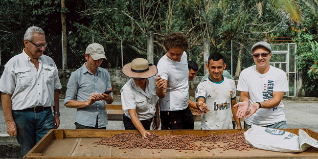 Cocoa plantation in Guatemala