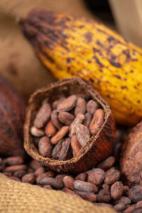 Cocoa beans